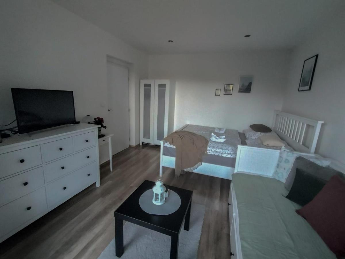 Apartmanek Protez ヤンスケー・ラーズニェ エクステリア 写真