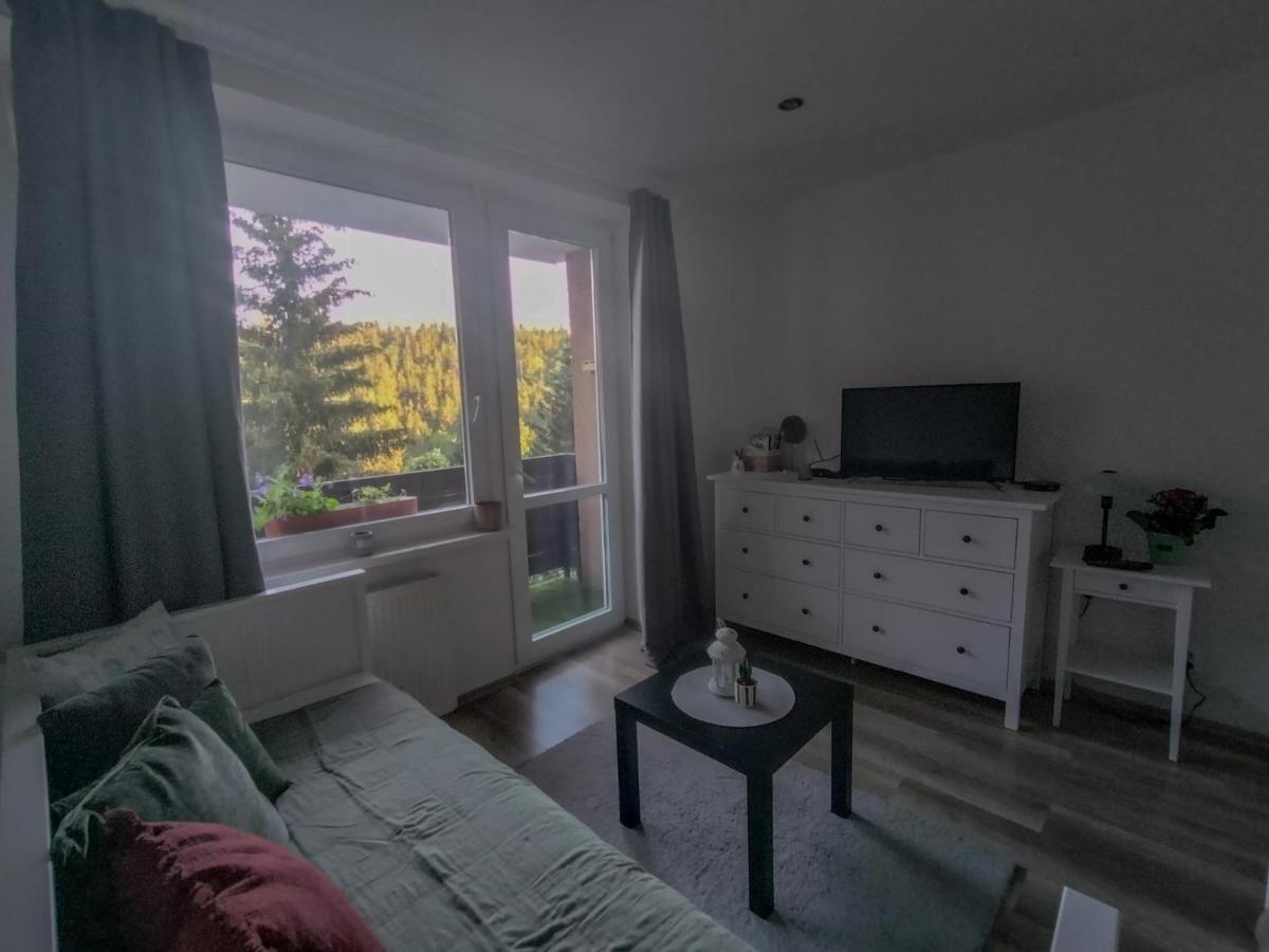 Apartmanek Protez ヤンスケー・ラーズニェ エクステリア 写真