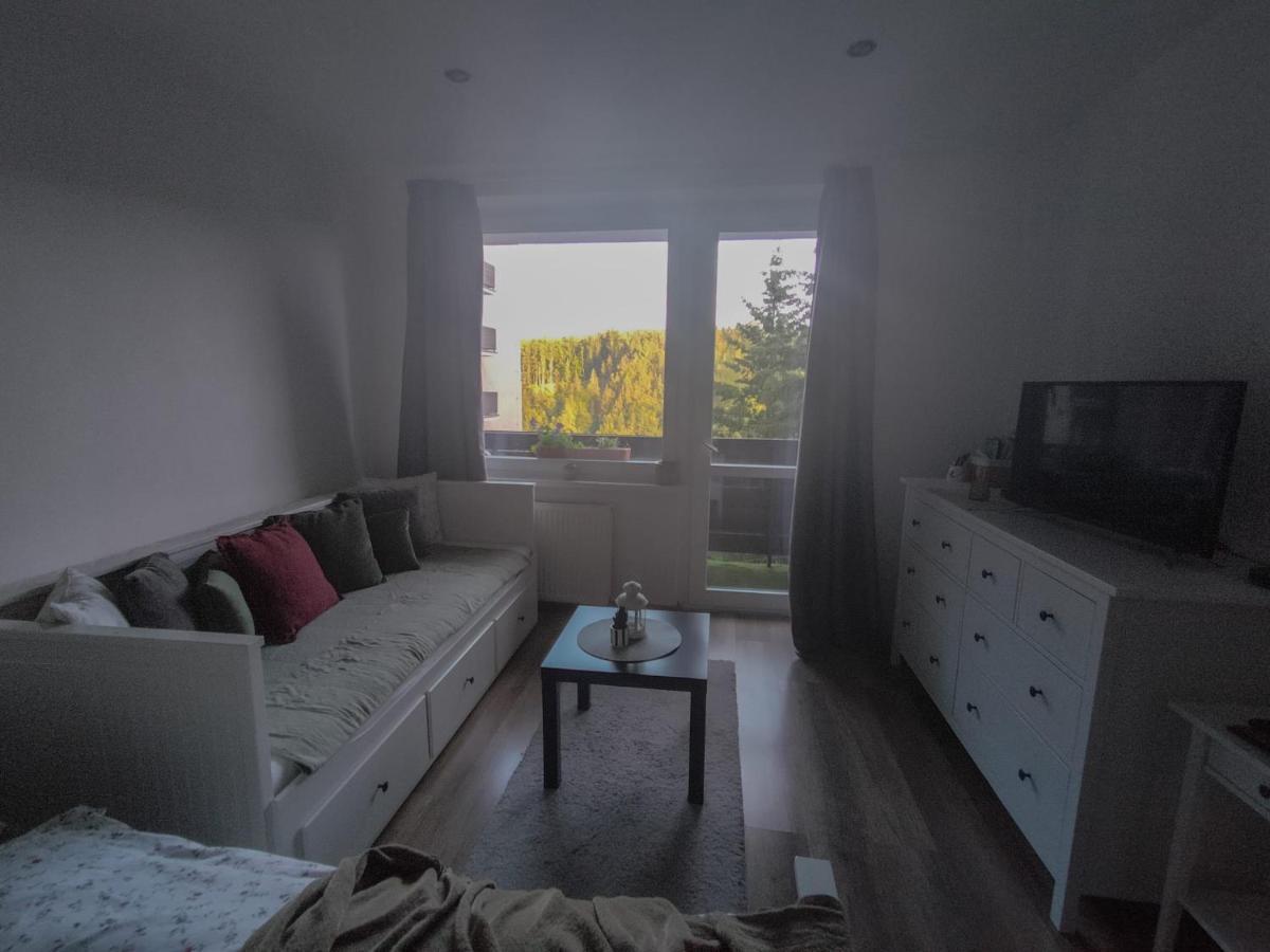 Apartmanek Protez ヤンスケー・ラーズニェ エクステリア 写真